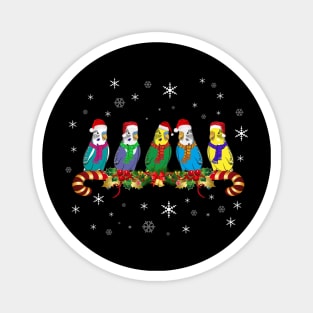 Santa Claus Budgies on Christmas Candy Cane Festive Holiday Magnet